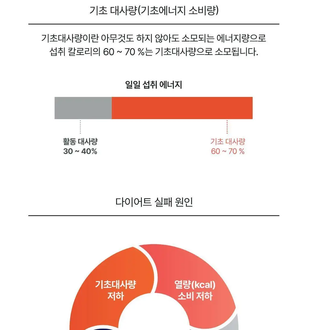 [체지방 DOWN] 뉴케어 스포식스 팻버닝 다이어트 워터 (7g*20포) /10일분 상세페이지 32